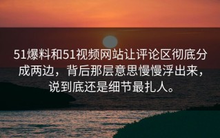 51爆料和51视频网站让评论区彻底分成两边，背后那层意思慢慢浮出来，说到底还是细节最扎人。