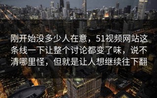 刚开始没多少人在意，51视频网站这条线一下让整个讨论都变了味，说不清哪里怪，但就是让人想继续往下翻