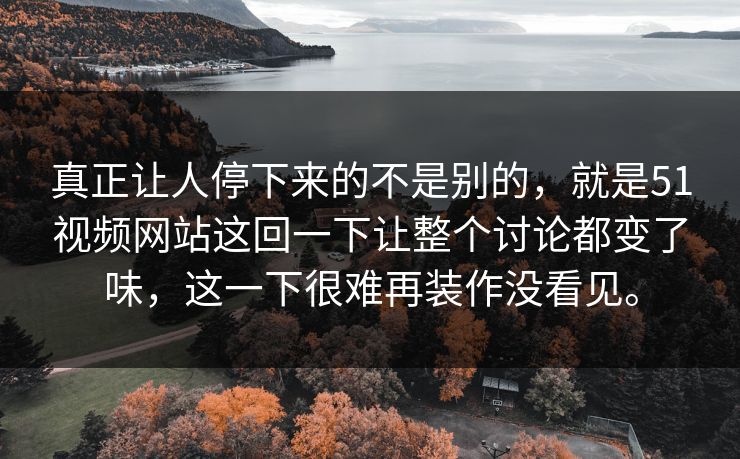 真正让人停下来的不是别的，就是51视频网站这回一下让整个讨论都变了味，这一下很难再装作没看见。-第1张图片-51爆料入口 - 明星私生活揭秘